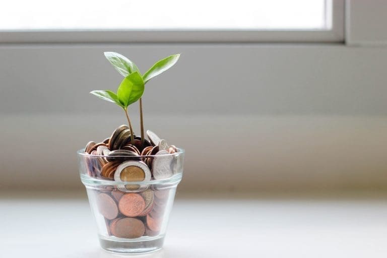 We are looking for a trustee with a specialism in finance